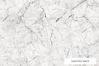venatino_white.jpg