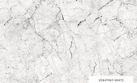 venatino_white.webp