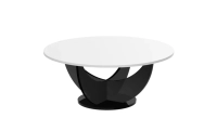 CAPRI (3).webp